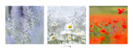Boutique Cartes (Faire-part) 